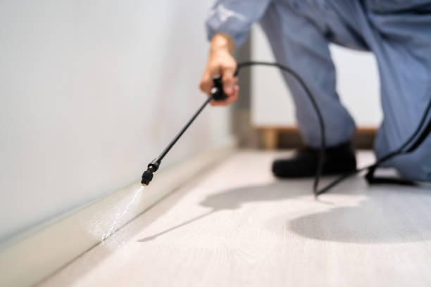 Licensed Termite Control service in Cleveland, TX - Nex Pest Control