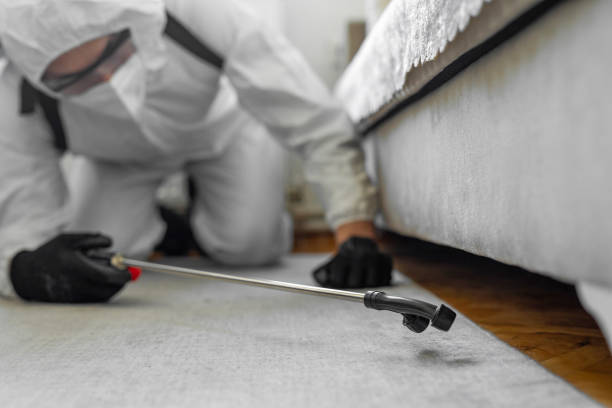 Professional Termite Control technician working in Cleveland, TX