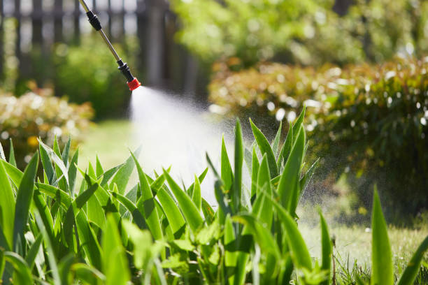 24/7 Emergency Termite Control experts in Cleveland, TX