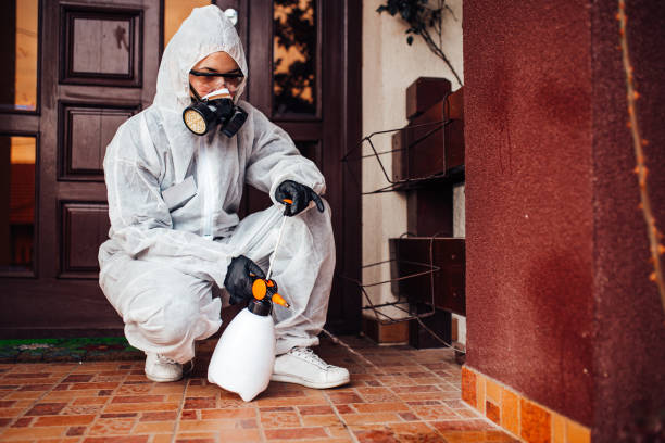 Reliable Termite Control contractor in Cleveland, TX by Nex Pest Control