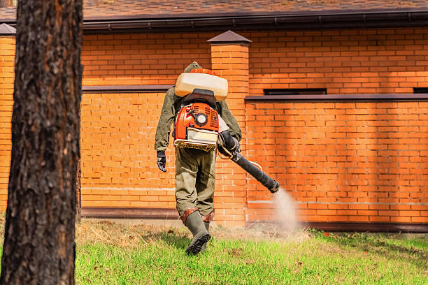 Top rated local Termite Control specialists in Cleveland, TX